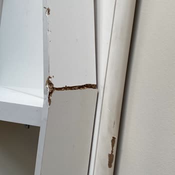 Kardeşler Nakliyat Firmasıyla Yaşadığımız Büyük Hayal Kırıklığı