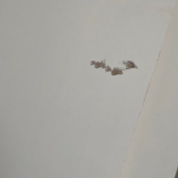 Kardeşler Nakliyat Firmasıyla Yaşadığımız Büyük Hayal Kırıklığı