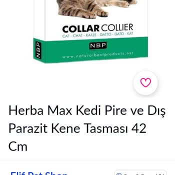 Pazarama Portalındaki İlgisizlik Ve Müşteri Memnuniyetsizliği