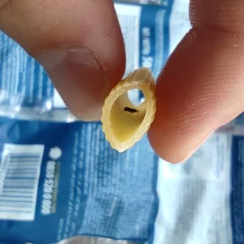 Mutlu Makarna Mutlu Böcekli Makarna