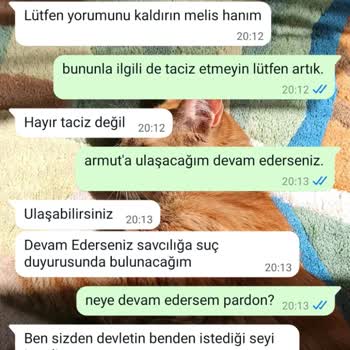 Nakliye Firmasıyla Yaşanan Sorunlar Ve Armut'un Yetersiz Müdahalesi