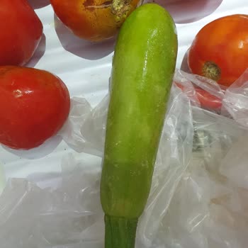 Bosch Genel Merkezinin Vurdumduymazlığı