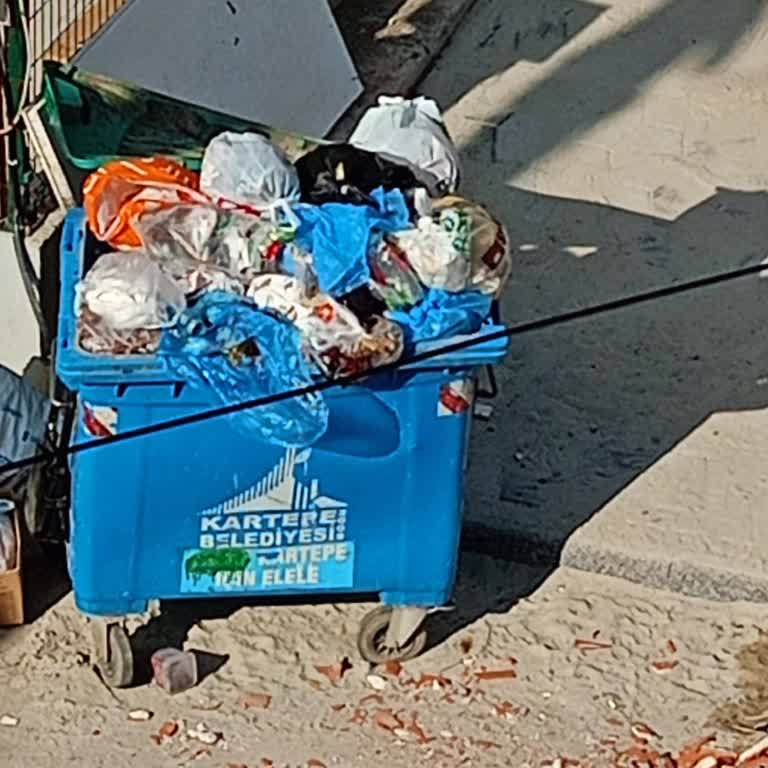 Kartepe Belediyesi Çöp Konteyner Inın Boşaltılmaması