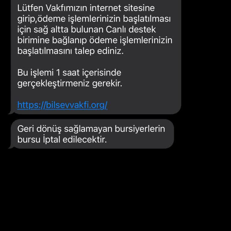Bilsev Vakfı (Burs Başvuru) Vakıf Burs Başvurusu Değerlendirmesi