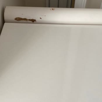 Mus Kardeşler Nakliyat Eşyalarımız Kırdı, Zararı Karşılamadı!