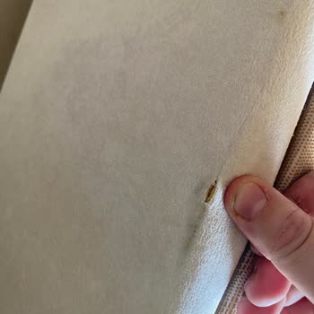 Mus Kardeşler Nakliyat Eşyalarımız Kırdı, Zararı Karşılamadı!