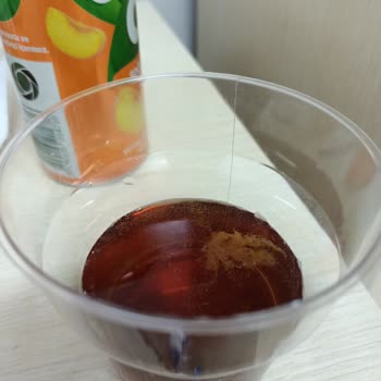 Didi Şeftalili İce Tea