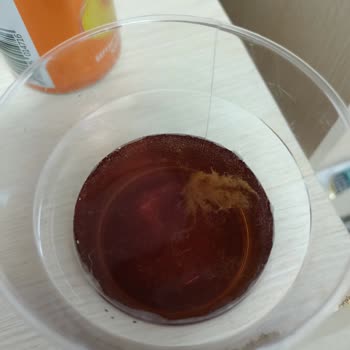 Didi Şeftalili İce Tea