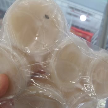 BİM File İlikli Kemik Suyu Sinek Şikayeti