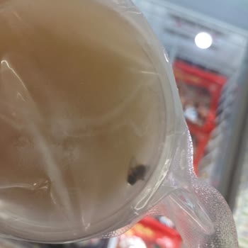 BİM File İlikli Kemik Suyu Sinek Şikayeti