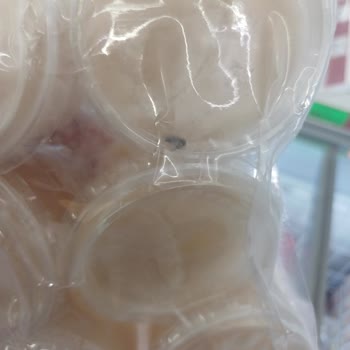 BİM File İlikli Kemik Suyu Sinek Şikayeti