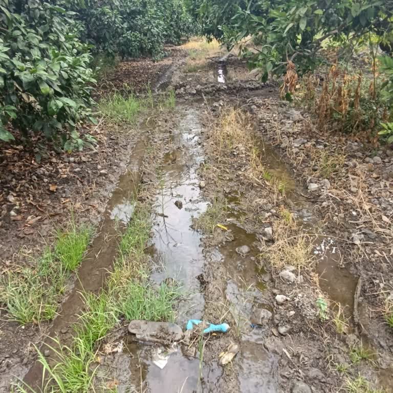 Dörtyol Hatsu Bahçeme Devamlı Akan Suyun Tamiratını Yapmaması