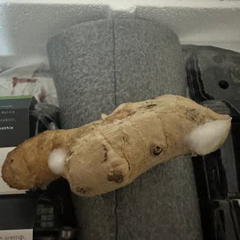 Taze Dükkan Küflenmiş, Ezik Ürün, Eksik Ürün Gönderimi