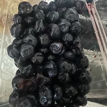 Taze Dükkan Küflenmiş, Ezik Ürün, Eksik Ürün Gönderimi