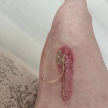 FLO Mağazası Şikayet Var