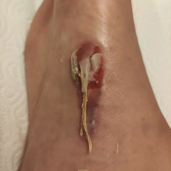 FLO Mağazası Şikayet Var