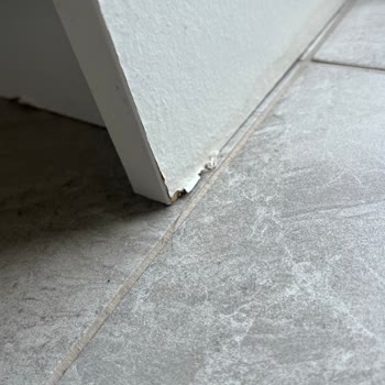 Nacaroğlu Nakliyat (İstanbul) Nacaroğlu Nakliye Şikayet