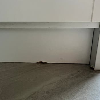 Nacaroğlu Nakliyat (İstanbul) Nacaroğlu Nakliye Şikayet