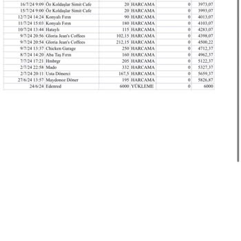Ticket Restaurant Bakiye Tutarsızlığı Yanlış Bakiye