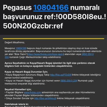 Pegasus'un Kaybettiği Bagajları Para Karşılığı Teslim Etmesi