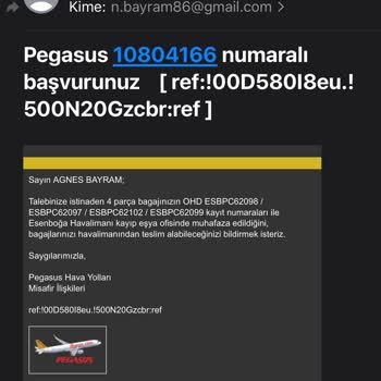 Pegasus'un Kaybettiği Bagajları Para Karşılığı Teslim Etmesi