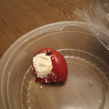 File Market Peynir Dolgulu Turşudan Sinek Çıkması