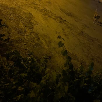 Kocasinan Belediyesi Ebiç Köyü Yollar Çok Kötü