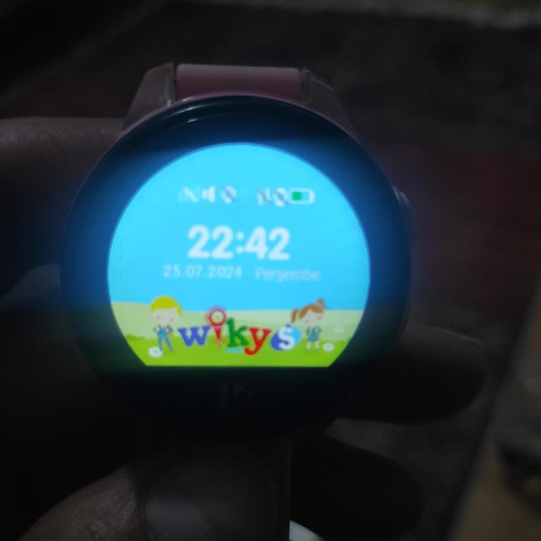 Wiky Watch Çevrimdışı Uyarısı Veriyor