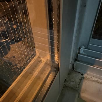 Albert Genau Cam Balkon Eziyeti