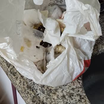 Musluoğlu Baklava Musluoğlu Fiyasko Olduğu Tüm Resimlere Bakın