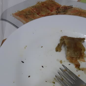 A101 Şam Katmer İsimli Üründen Böcek Çıktı!