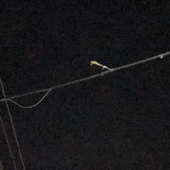 Türk Telekom Kopan İnternet Kablosunu Onarmaya Gelmiyor