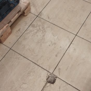 Şok Marketler Şok Markete Kokudan Girilmiyor