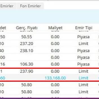 Trive Yatırım Menkul Değer, Pegasus Hisse Senedi Zincir Emir Hatası