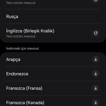 Samsung S24 Ultra'da Türkçe Çeviri Desteği Eksikliği