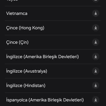 Samsung S24 Ultra'da Türkçe Çeviri Desteği Eksikliği