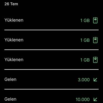Kim GB İster Uygulamasında Boşa Giden Veriler Ve Hatalar
