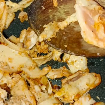 Lezita Yaprak Döner Çiğ Et Çıktı