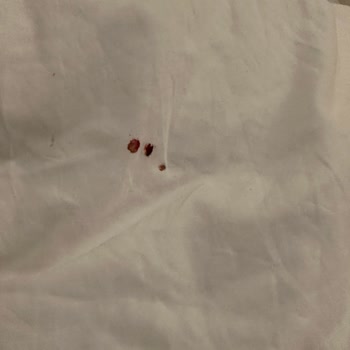 Sundia Exclusive By Liberty Tahta Kuruları