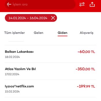 Iyzico*netflix.com Adresinden 6 Ay Boyunca Hesabımdan Para Çekilmiş