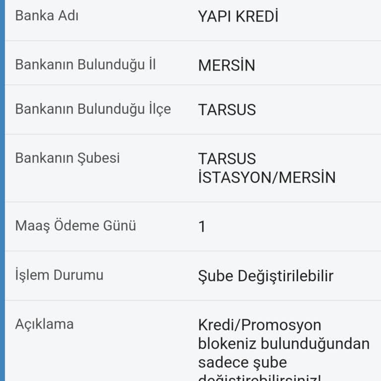 Yapı Kredi Bankası Promosyon Blokesi E Devlet Sorunu