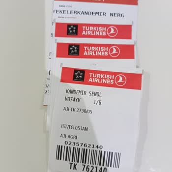 Turkish Airlines Flight Boarding Issue