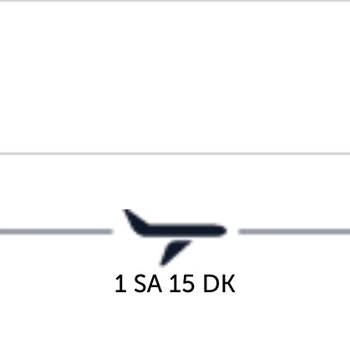 I Missed the Flight Due to Delays and Staff Issues