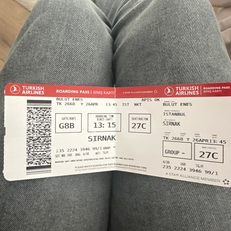 Проблемы с обслуживанием сотрудников Turkish Airlines на рейсе