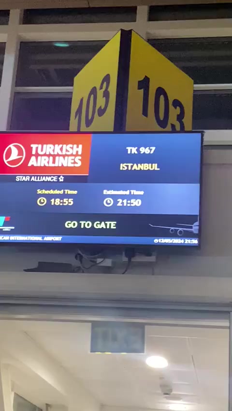 Задержка рейса TK-967 Turkish Airlines и неудовлетворенность обложка видео
