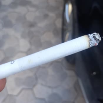 Philip Morris Sigara İle İlgili