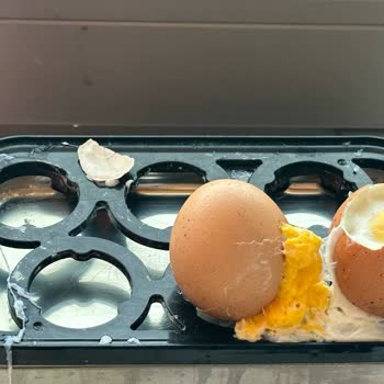 Tire Organik Gıda Ürünleri Bozuk Yumurta - Tire Organik