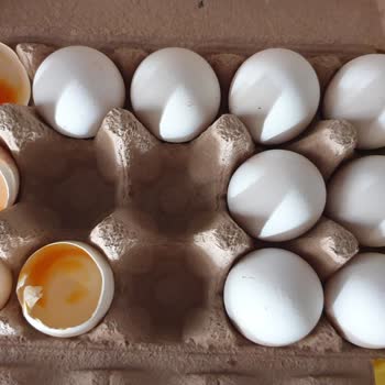 Şok Marketler 19 Gün Tarihi Geçmiş Yumurta.
