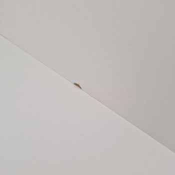 IKEA Defolu Ürünün Değişimini Yapmaması