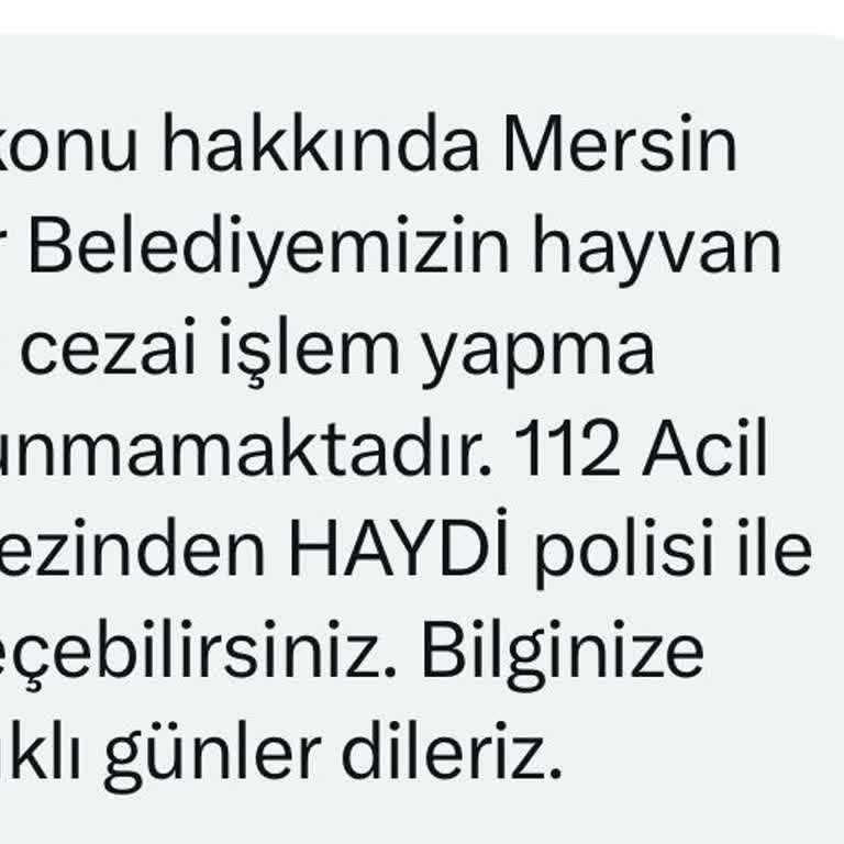 Mersin Büyükşehir Belediyesi Sürekli Köpek Havlaması